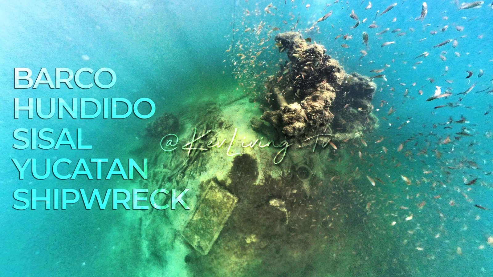 Historia completa sobre el barco hundido en Sisal Yucatán, hallazgo de “El pecio Vapor La Unión (1861)” investigación por el INAH