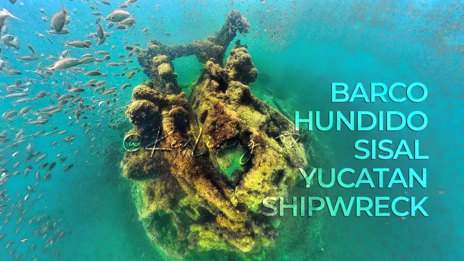 Historia completa sobre el barco hundido en Sisal Yucatán, hallazgo de “El pecio Vapor La Unión (1861)” investigación por el INAH