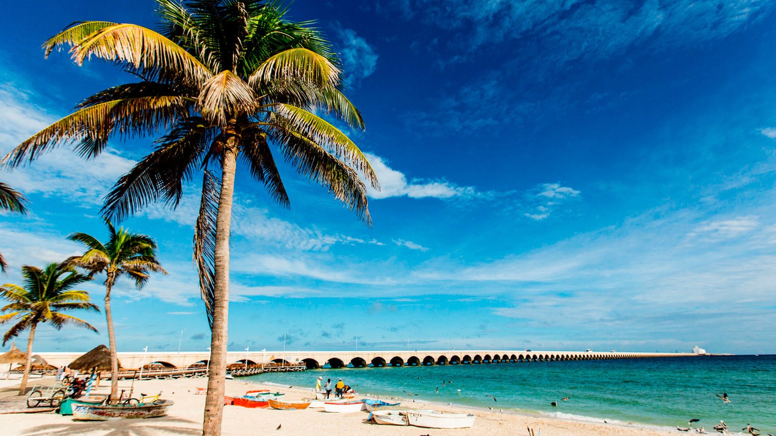 Tours de bienes raíces en Yucatán, conoce las zonas más interesantes con estas rutas